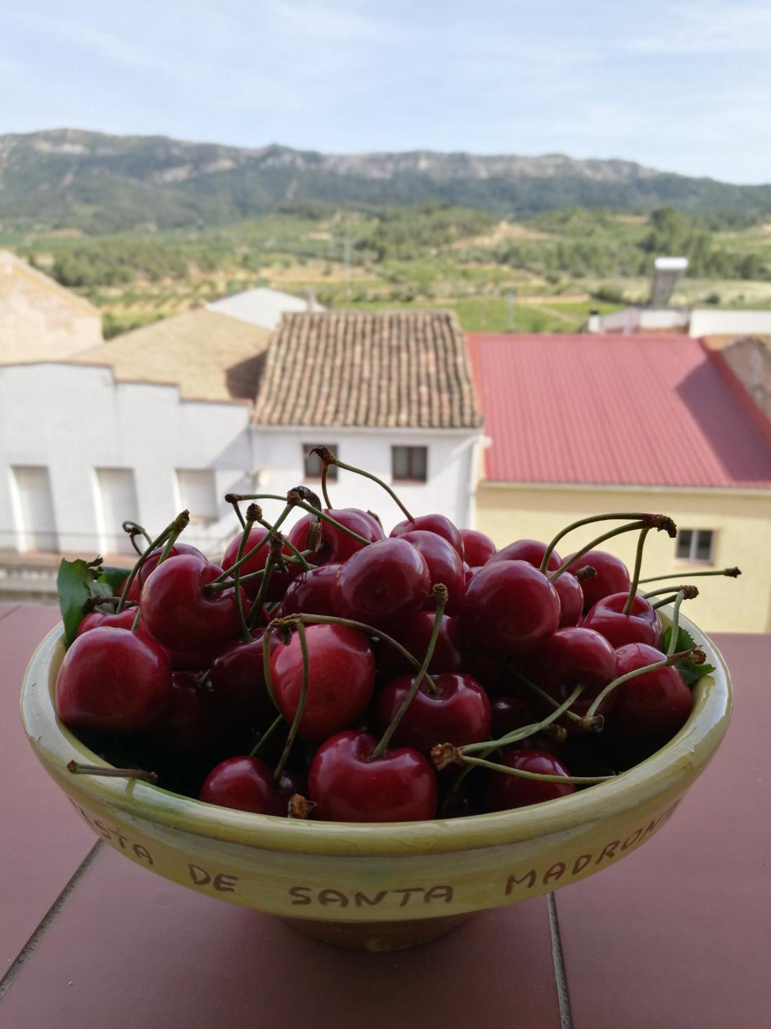 Apartaments Els Temporers Corbera 외부 사진